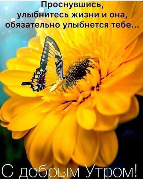 7b9a0bc3a14ed078651cbee92f2024fe