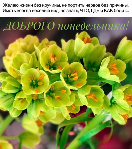 92f7458ad8c3bc7871a45aeb75eeec35