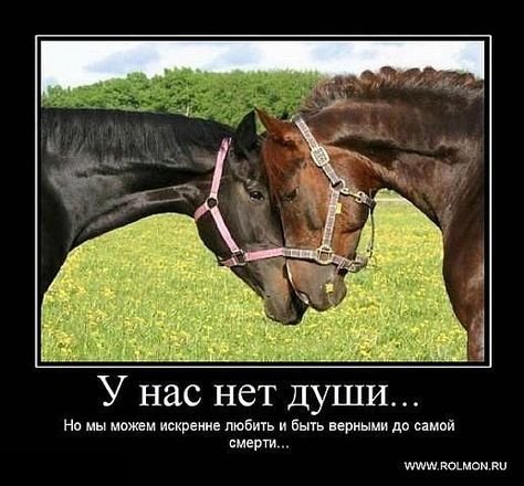 До самой смерти...