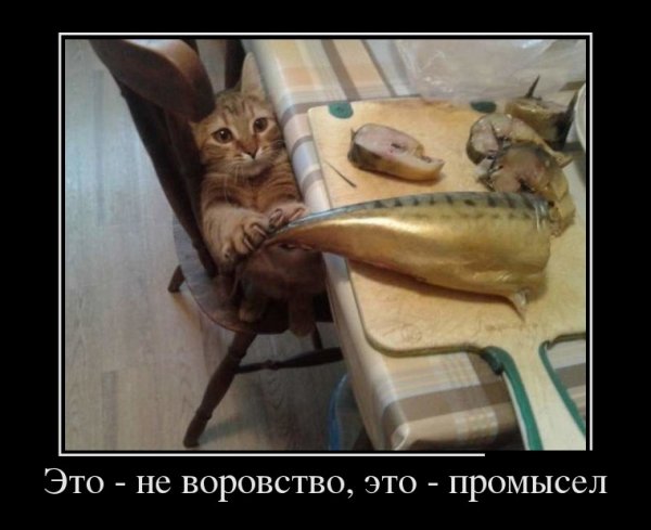 Это не воровство