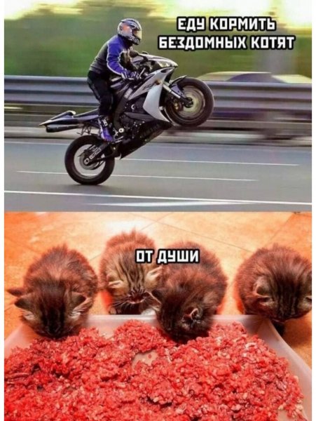 Добрый байкер