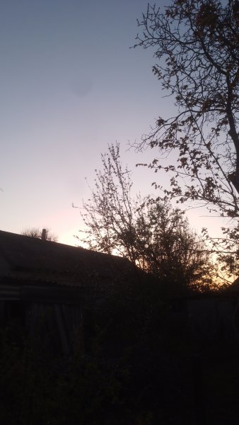 picture_411934148