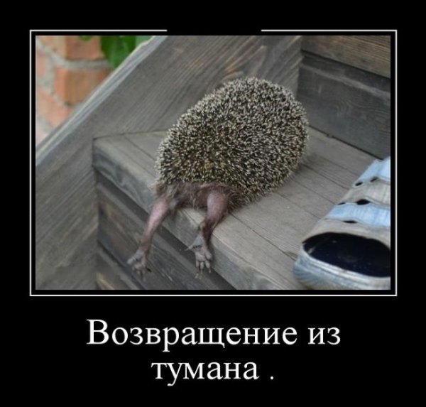 picture_400438699