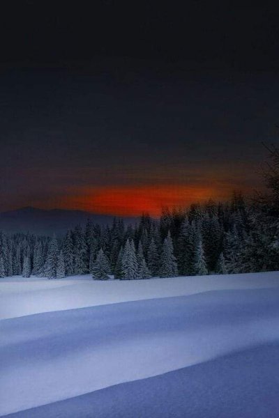зимняя природа