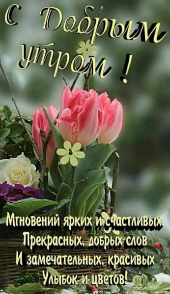 5ee082f5e8f6db10882894afb2b05f14(1)