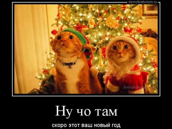 IMG 20250113 221131