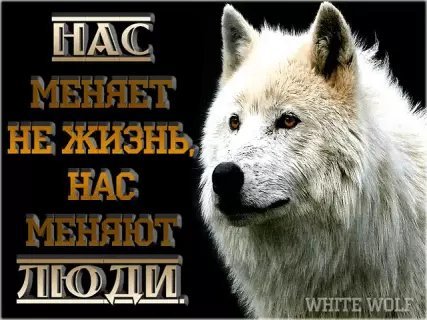 picture_212263600