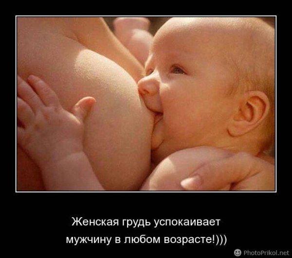 Женская грудь