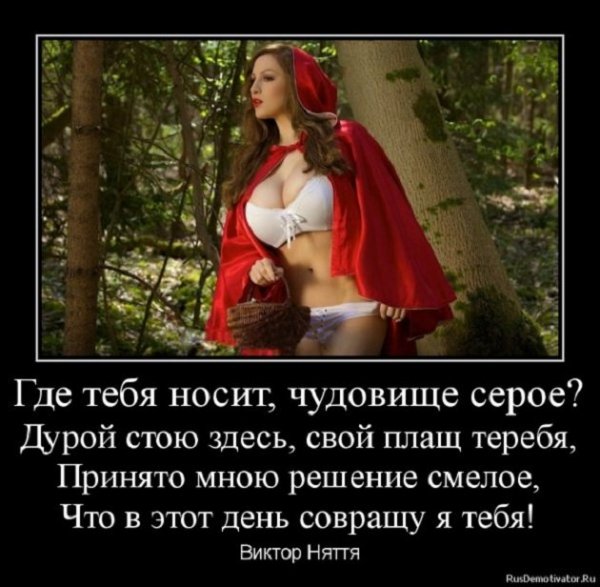 picture_374620393