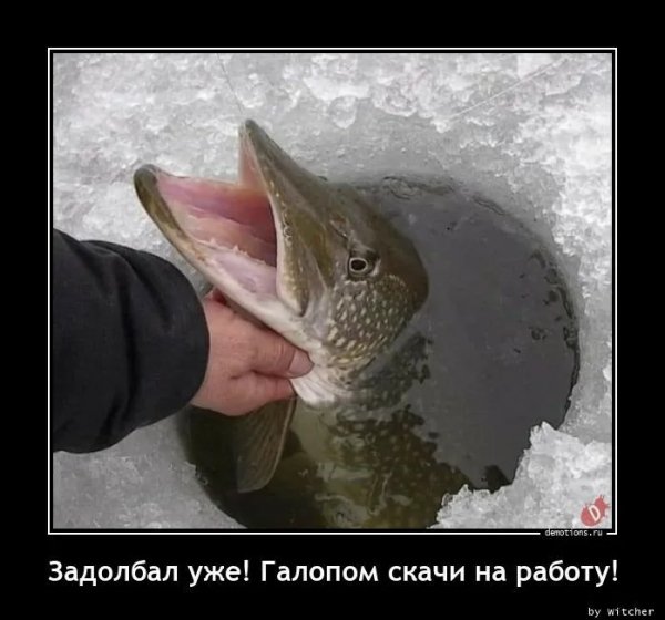 )))))