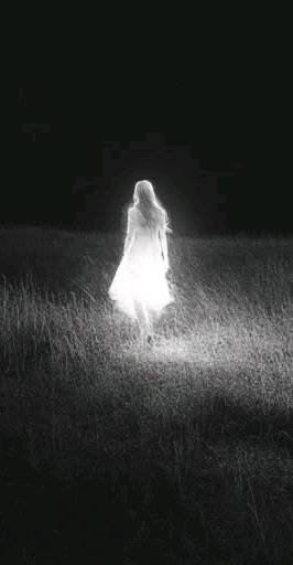 Users-13