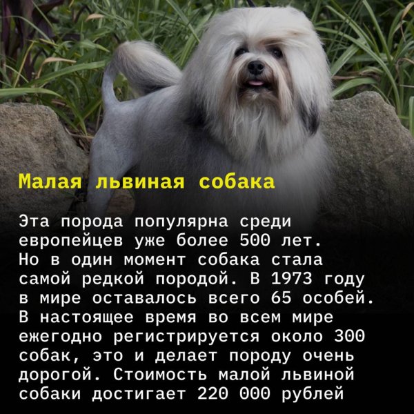 Весьма интересно!