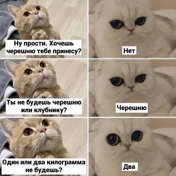 5kal6ras