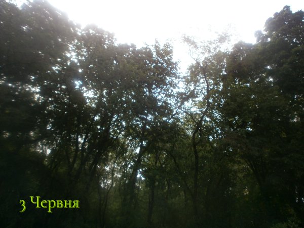 3 Червня