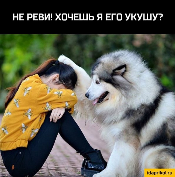 XeAAAgIU0uA-960