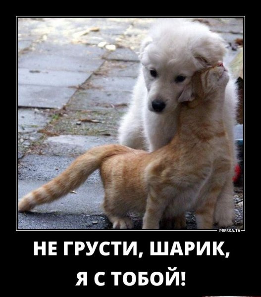 Не грусти