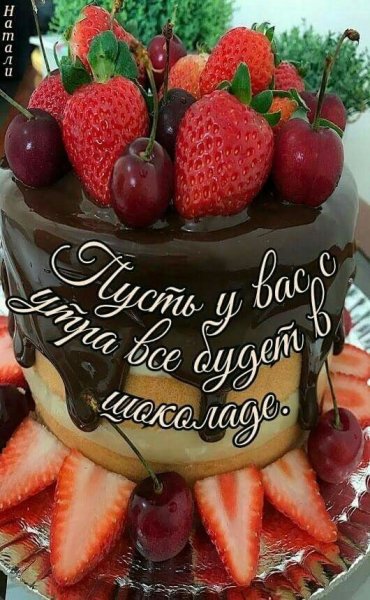 04b10f81be3b43826231e4fefa95a9fe