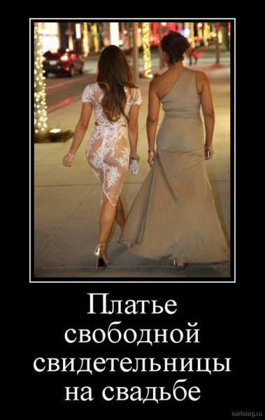 picture_378885226