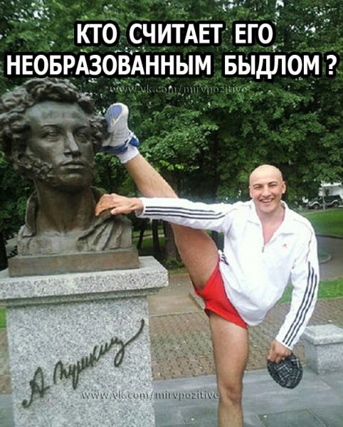 Быдло