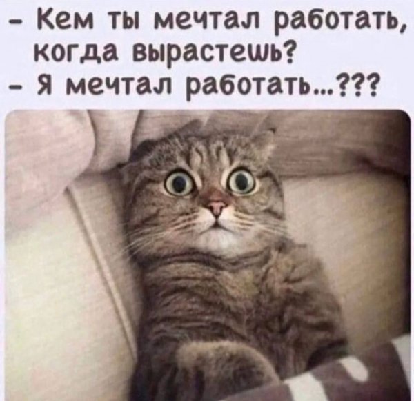Работать