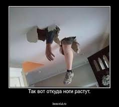pics