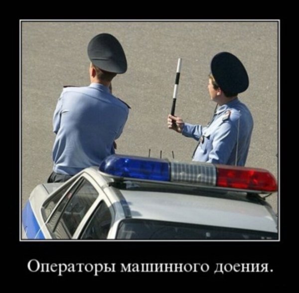 Funny-klev-club-p-smeshnie-kartinki-pro-gaishnikov-30