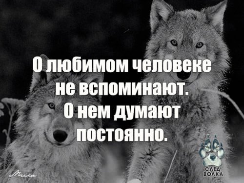 picture_215389850