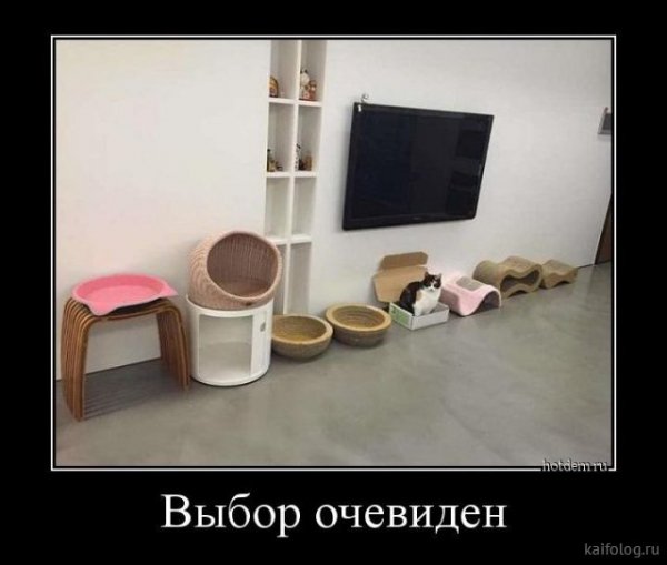 picture_380766450
