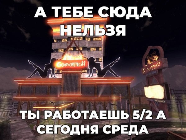 picture_412697565