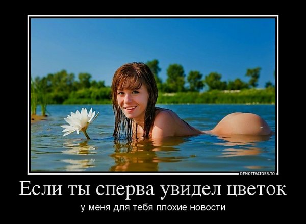 picture_398325753