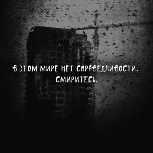 image(624)