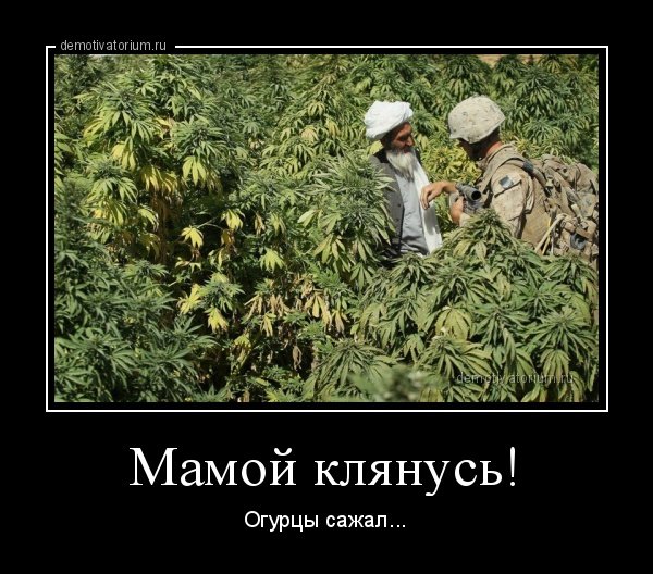 РШГРШГРШРГШ