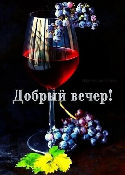 IMG 20220222 085934