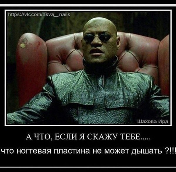pics