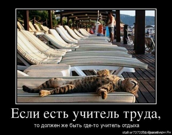 демотиваторы 134906
