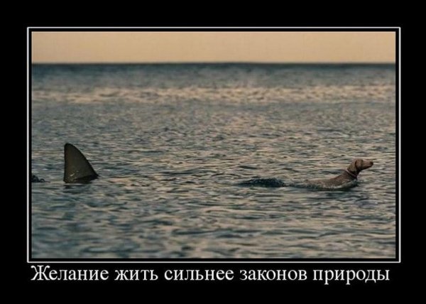 pics