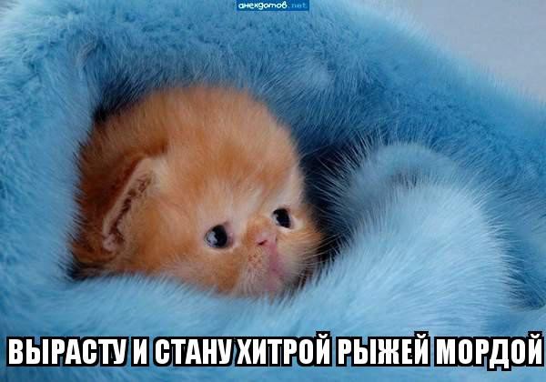 ))