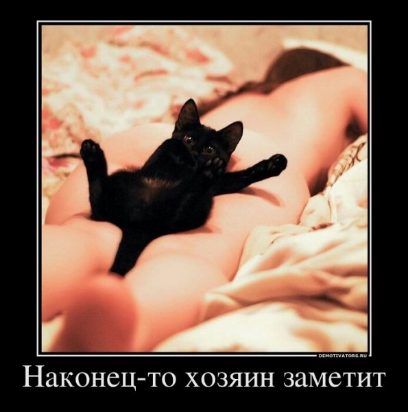 nakonets to hozyain zametit