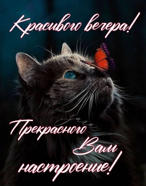p.1200.1200.0