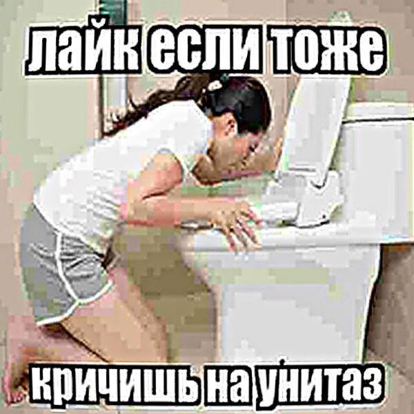 picture_412682293