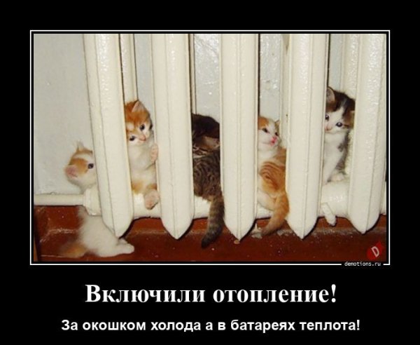 picture_399877382