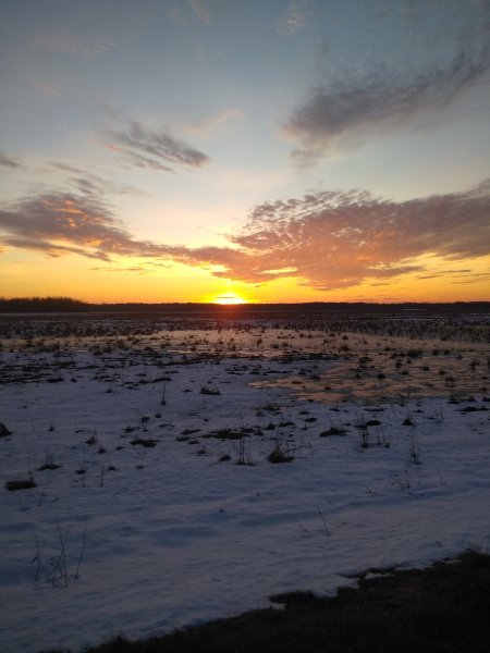 picture_408012933