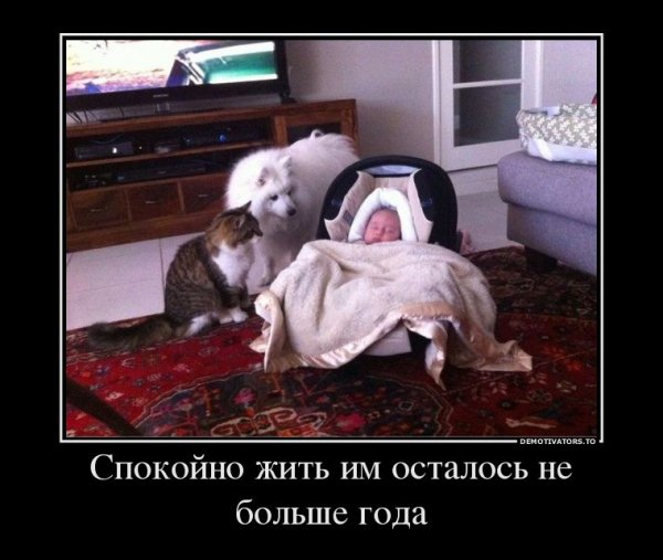 Меньше года