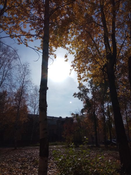IMG 20180926 125319