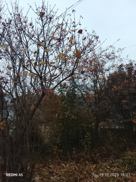 picture_398632509