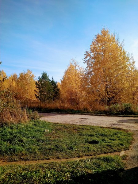 IMG 20221002 110720
