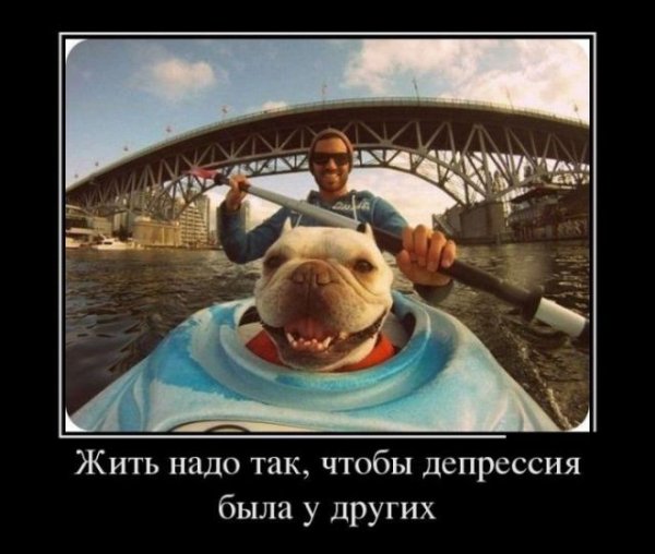 pics