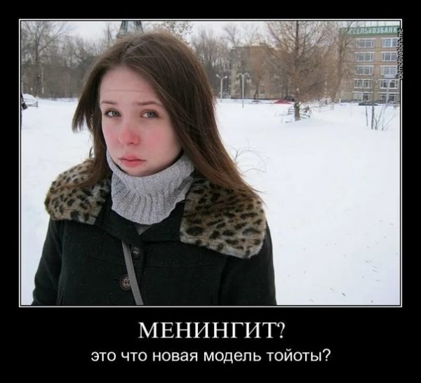 pics
