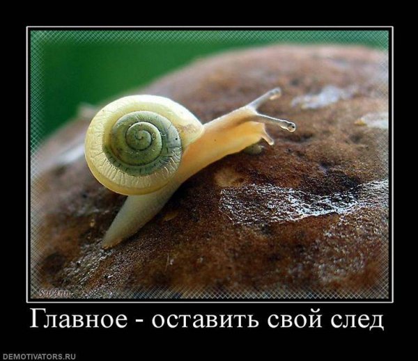 Demotivator (94)