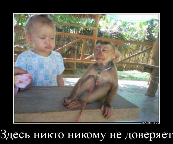 picture_243680050